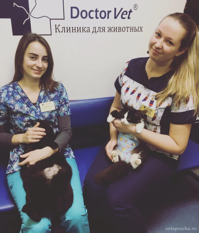 Клиника Доктор Vet | Телефон +7 (845) 291-79-17 | Отзывы на VetSpravka.ru